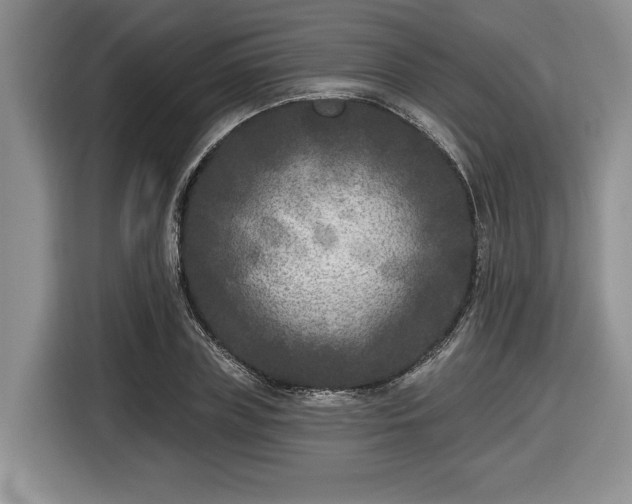 X0000116430835200912151016
