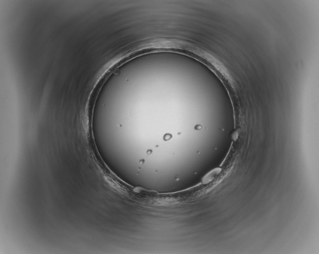 X0000116430837200912151016