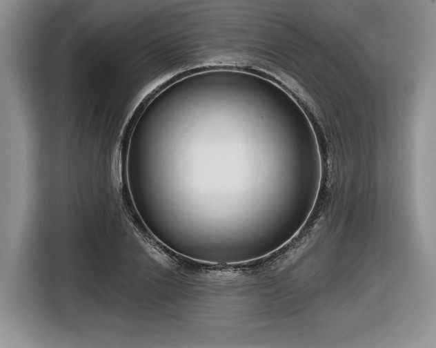 X0000116430838200912151016