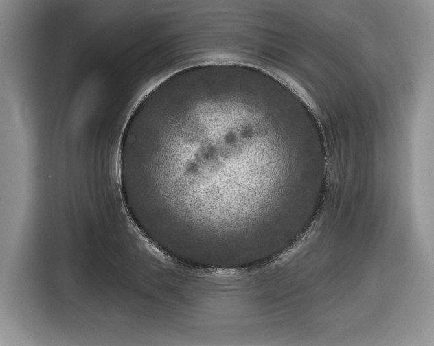 X0000116430839200912151016