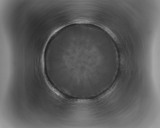 X0000116430840200912151016