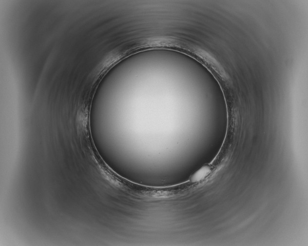 X0000116430841200912151016