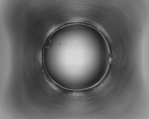 X0000116430842200912151016