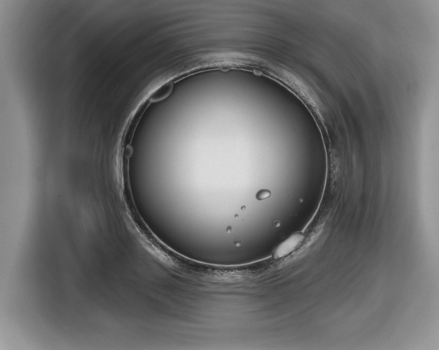 X0000116430843200912151016