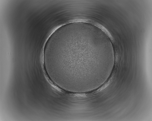X0000116430844200912151017