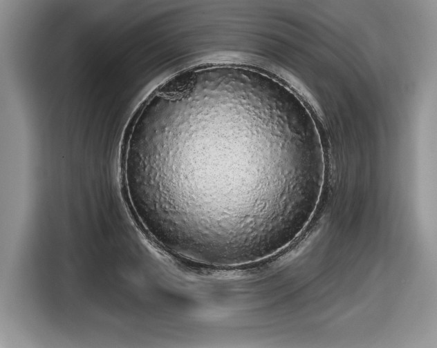 X0000116430845200912151017