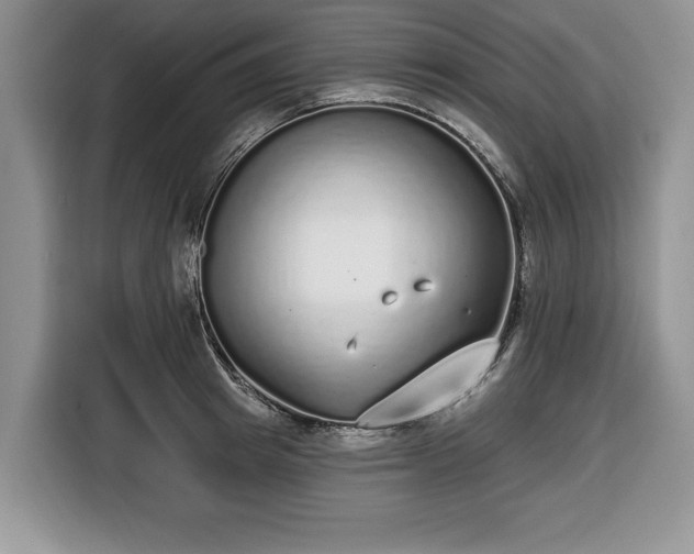 X0000116430849200912151017