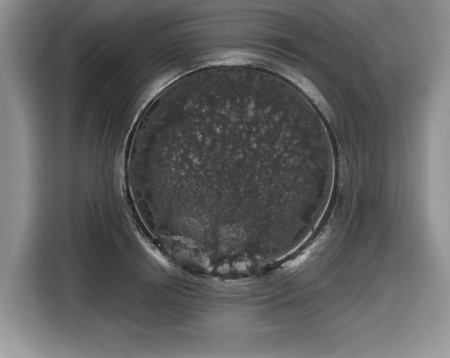 X0000116430850200912151017