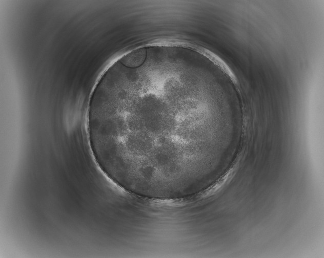 X0000116430855200912151017
