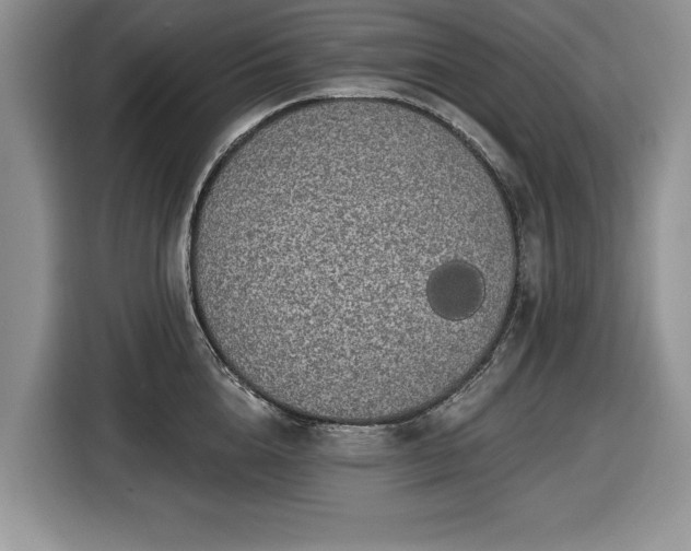 X0000116430856200912151017