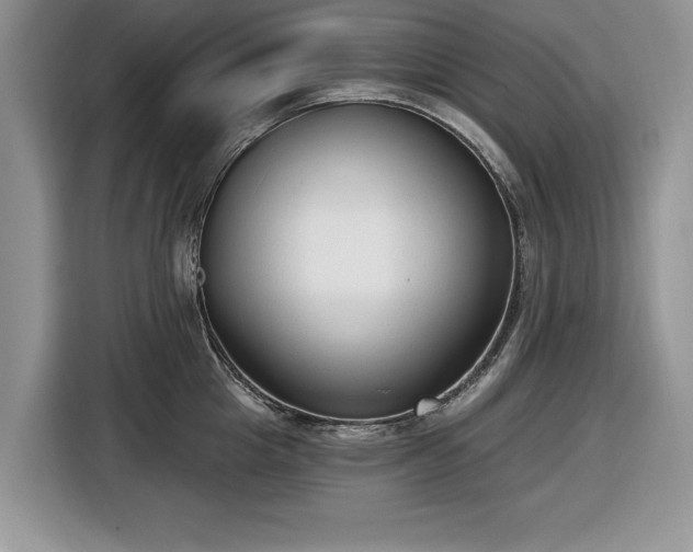 X0000116430857200912151017
