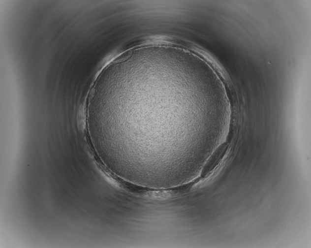 X0000116430858200912151017