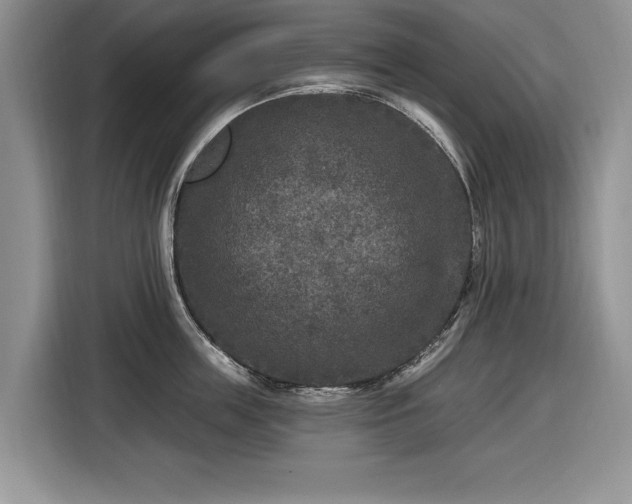X0000116430859200912151017