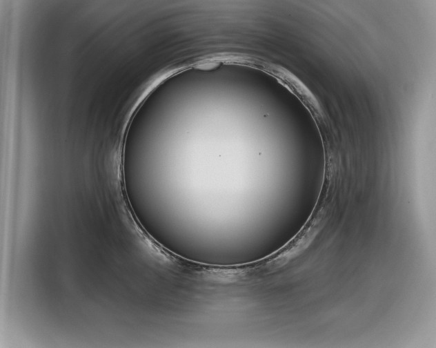 X0000116430860200912151017