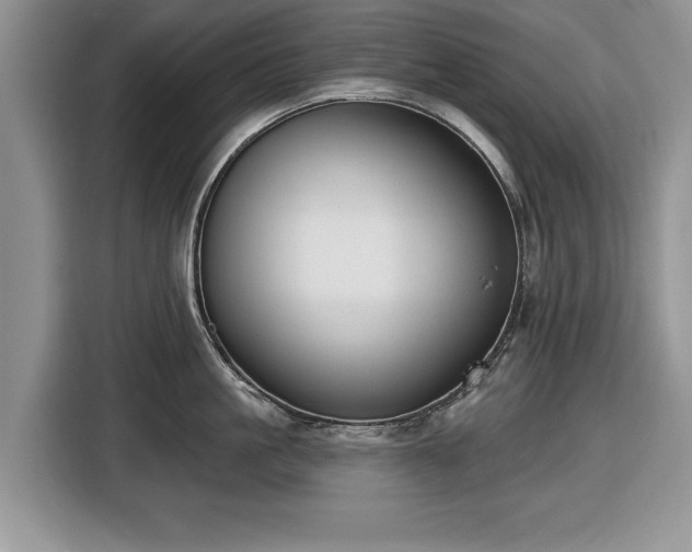 X0000116430861200912151017
