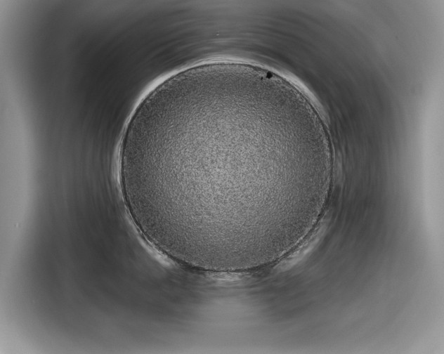 X0000116430862200912151017