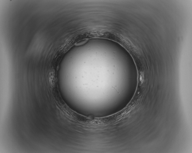 X0000116430867200912151016