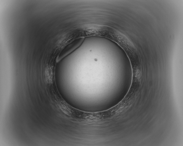 X0000116430868200912151016