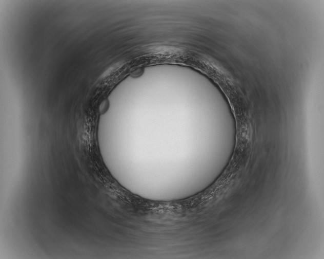 X0000116430869200912151016