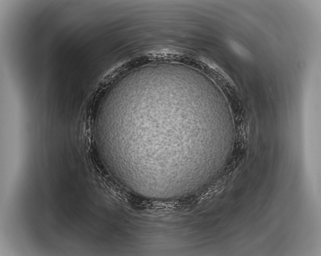 X0000116430870200912151016