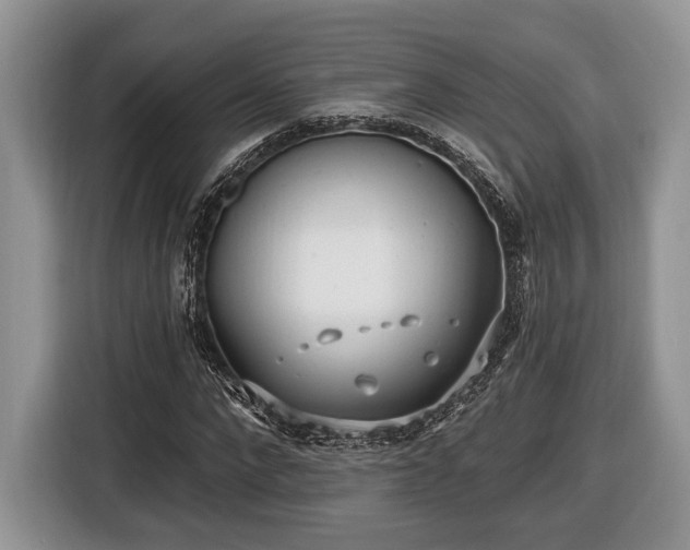 X0000116430872200912151016