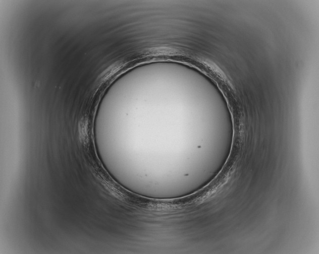 X0000116430873200912151016