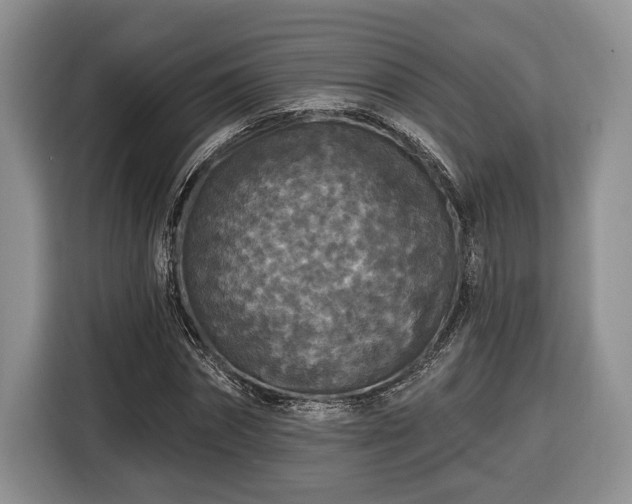 X0000116430874200912151016