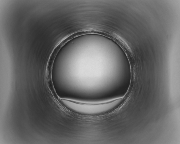 X0000116430876200912151016