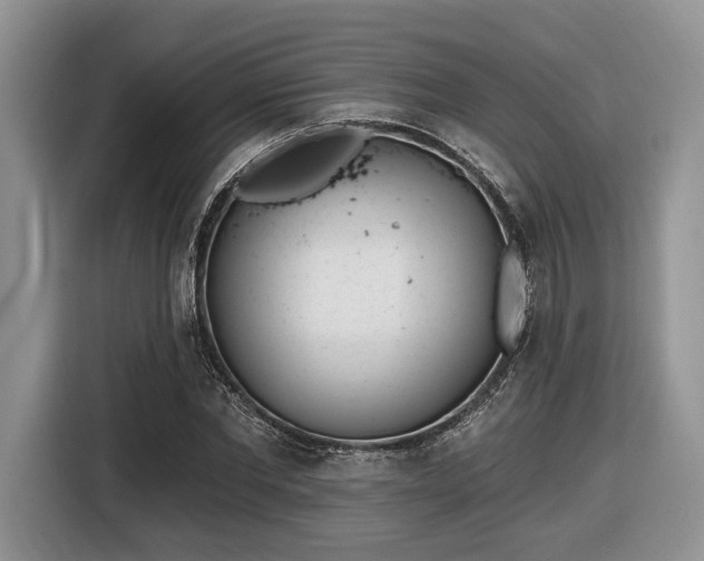 X0000116430877200912151016