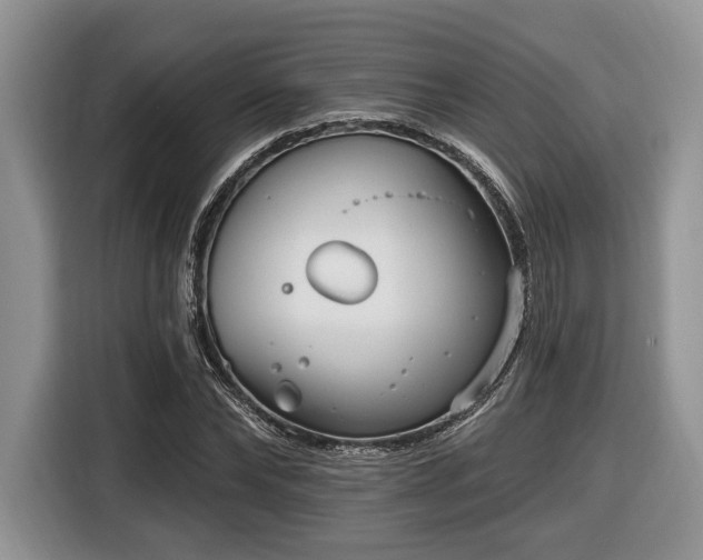 X0000116430878200912151016