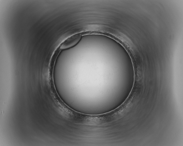 X0000116430880200912151016