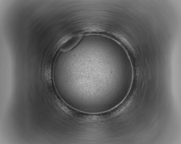 X0000116430881200912151016
