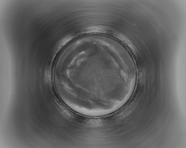 X0000116430882200912151016