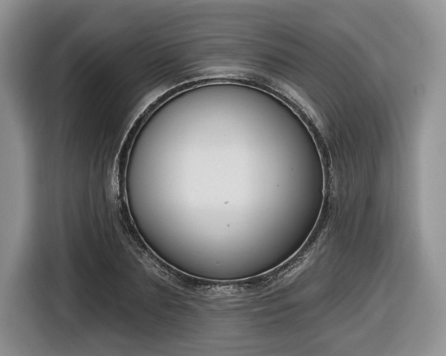 X0000116430883200912151016