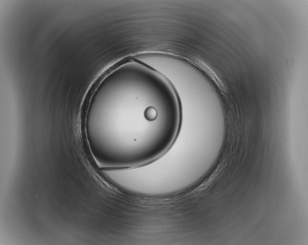 X0000116430884200912151016