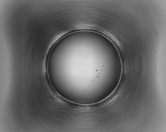 X0000116430885200912151016