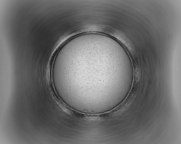 X0000116430886200912151016
