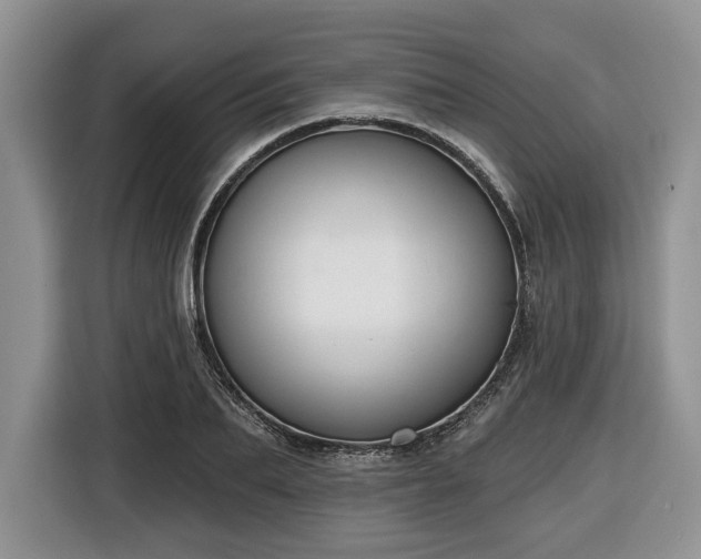 X0000116430887200912151016