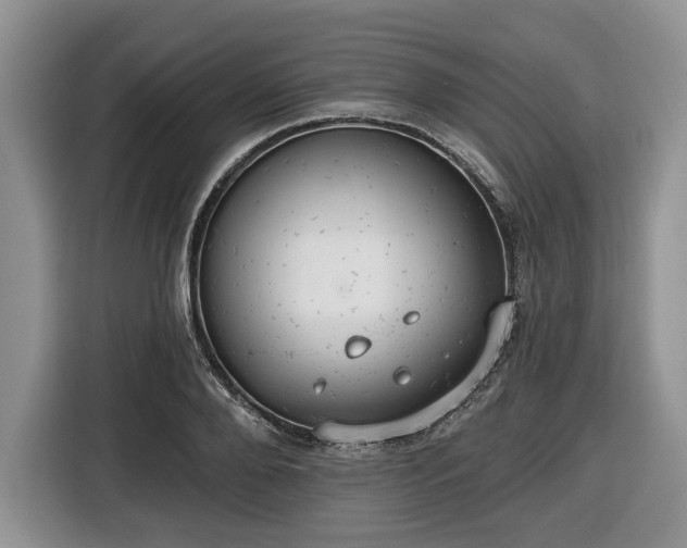 X0000116430888200912151016