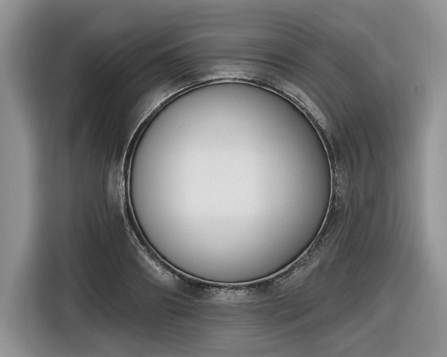 X0000116430890200912151016
