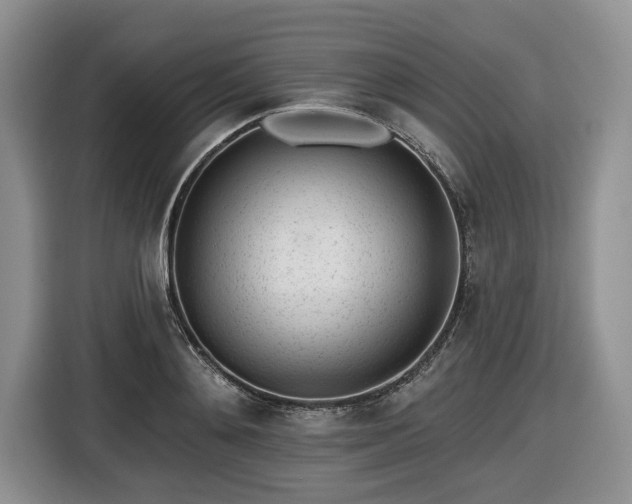 X0000116430892200912151016