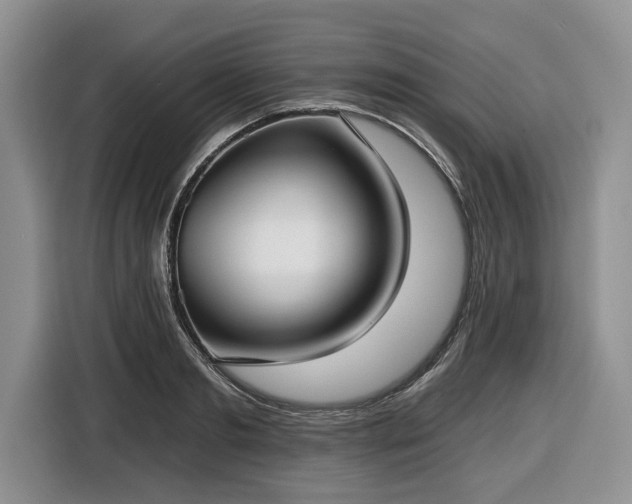 X0000116430893200912151016