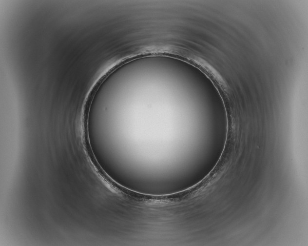 X0000116430894200912151016