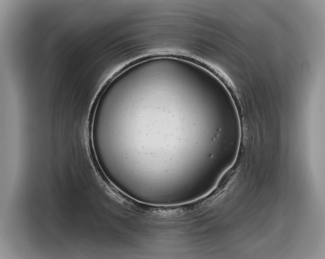 X0000116430895200912151016