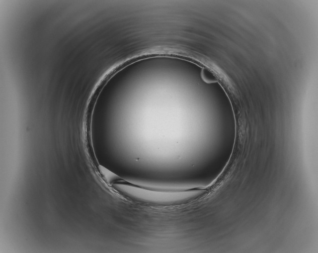 X0000116430896200912151016
