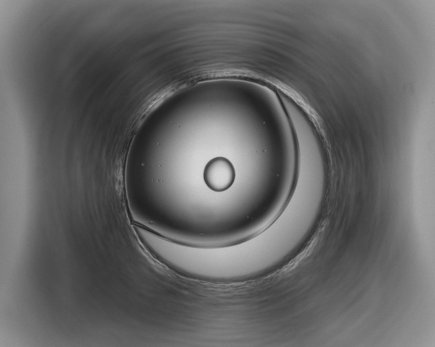 X0000116430897200912151016