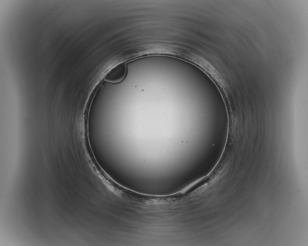 X0000116430898200912151016