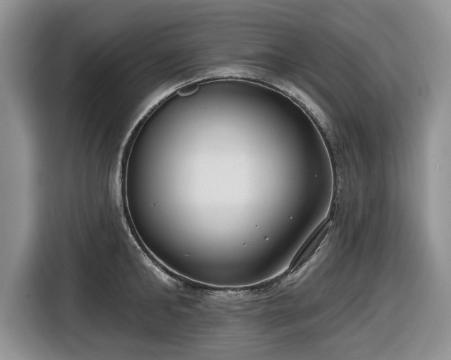 X0000116430902200912151016
