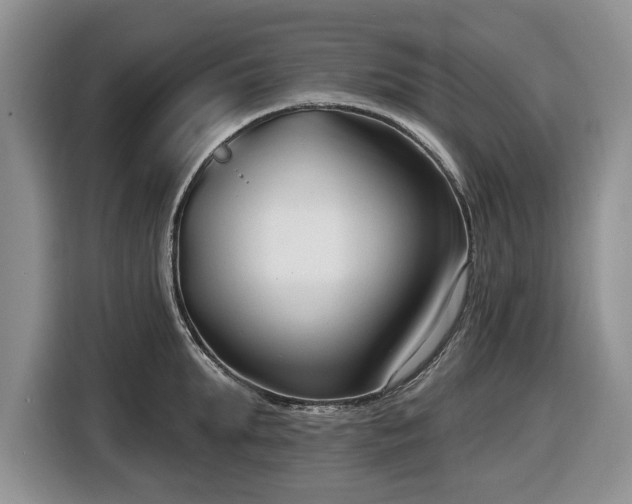 X0000116430903200912151016