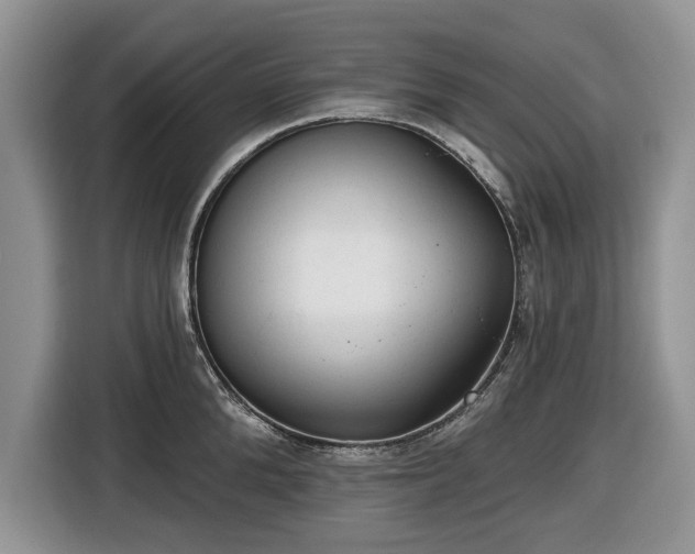 X0000116430904200912151016